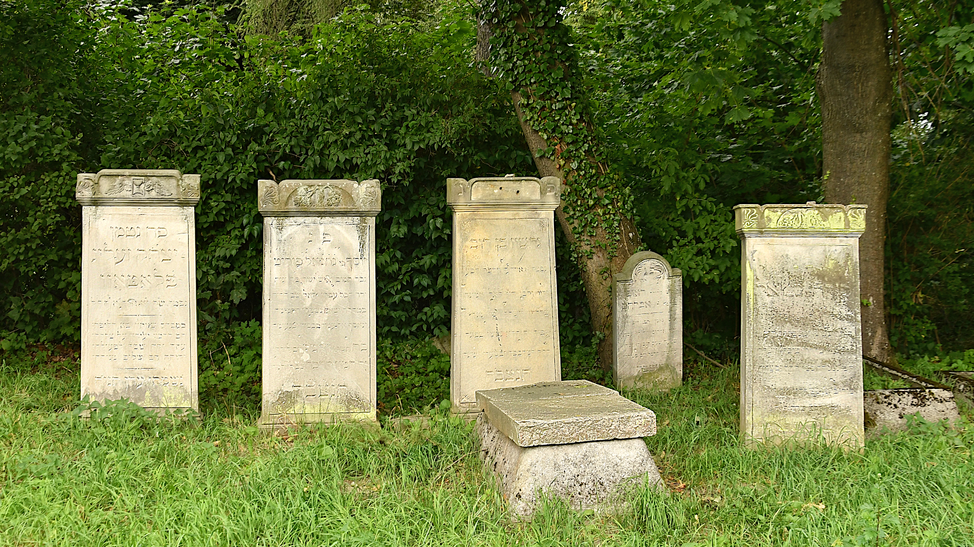 Cmentarz żydowski w Pasłęku